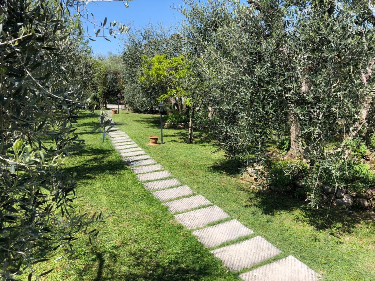 Casa Del Sole Villa Монтеспертоли Екстериор снимка